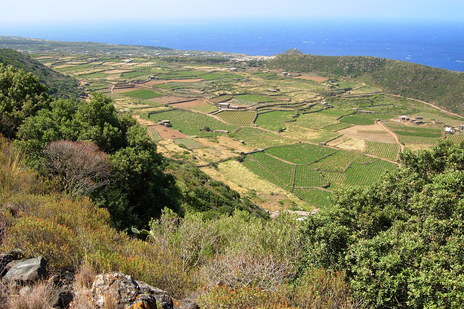 1620px Piana di ghirlanda pantelleria