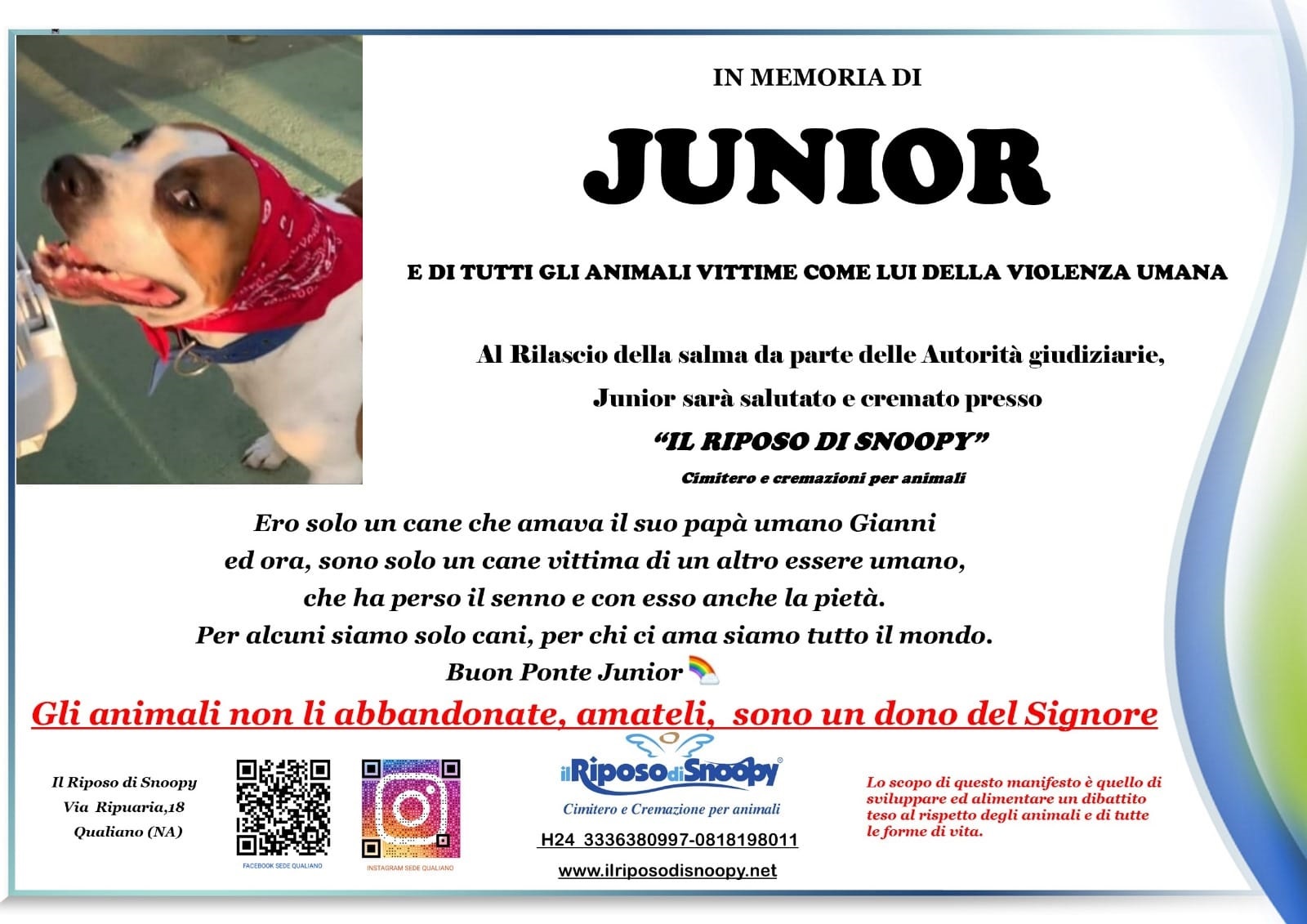 junior