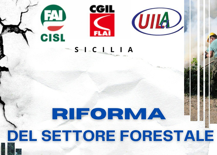 riforma forestale