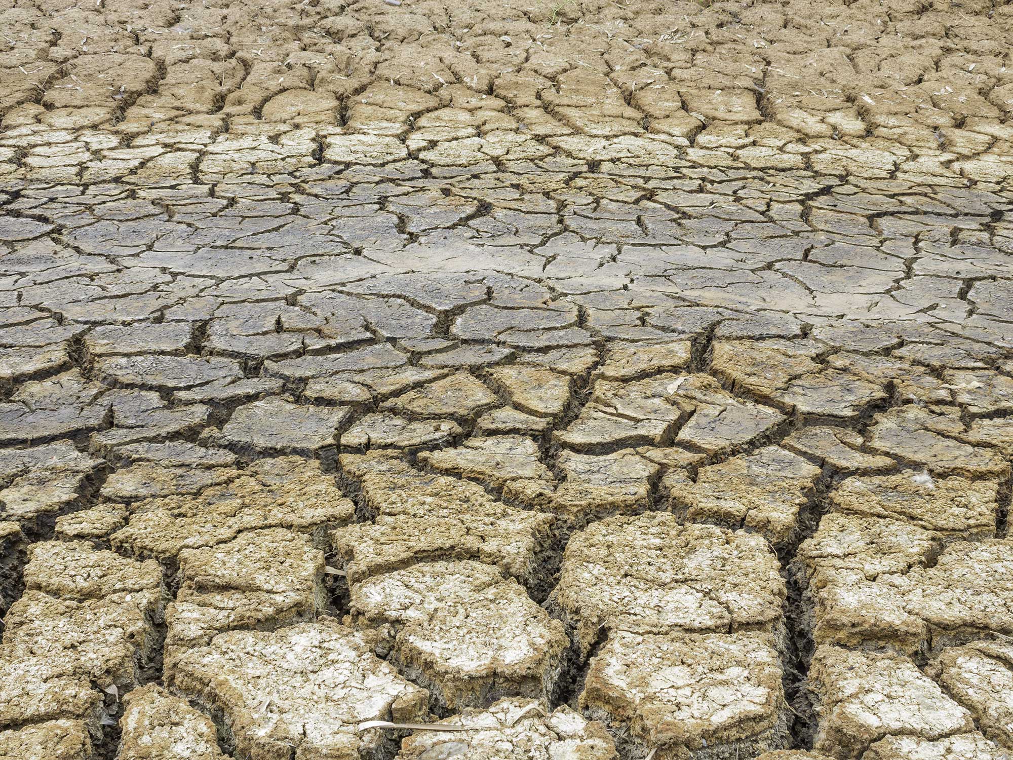 Sicilia desertificazione 2024