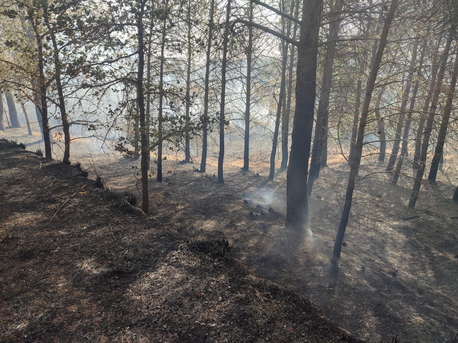 incendio piazza armerina