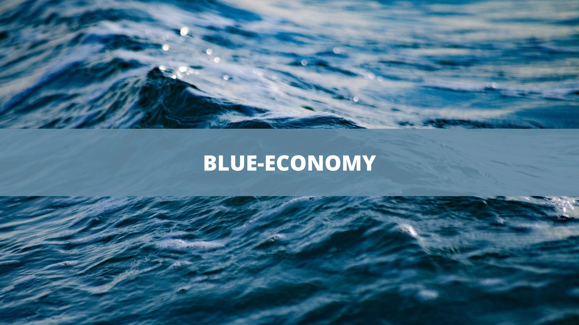 blue economy