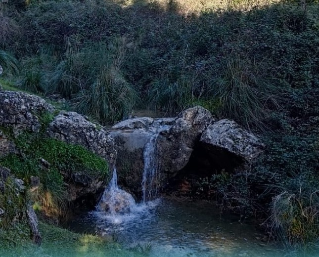 Torrente della Molara