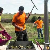 Siracusa - Annunciata al G7 la Leva Agricola