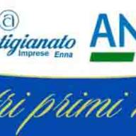 Quest'anno ricorre il quindicesimo anniversario della costituzione del Comitato ANCoS APS di Enna