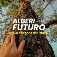 “Alberi per il Futuro”: un weekend di iniziative green in occasione della Festa Nazionale dell’Albero