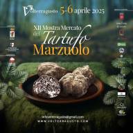 Volterra celebra il Tartufo Marzuolo: Mostra Mercato ed eventi imperdibili